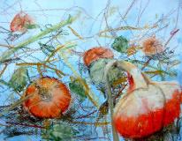 Pumpkins galore
