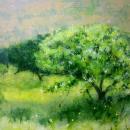 Apple Orchard