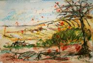 French Fields 1