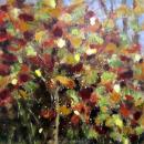 Small apple tree